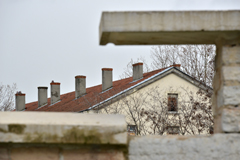 Cliquez sur la vignette pour l'agrandir
